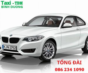Taxi Thu Dau Mot 9
